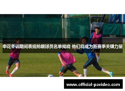 申花冬训期间表现抢眼球员名单揭晓 他们将成为新赛季关键力量