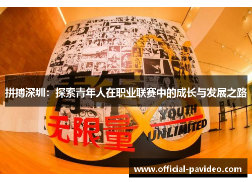 拼搏深圳：探索青年人在职业联赛中的成长与发展之路