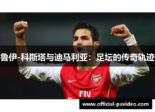 鲁伊-科斯塔与迪马利亚：足坛的传奇轨迹