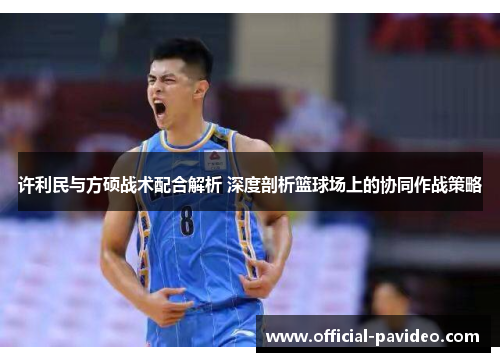 许利民与方硕战术配合解析 深度剖析篮球场上的协同作战策略